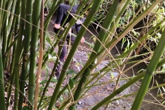 Classe-dehors-seance-1-14