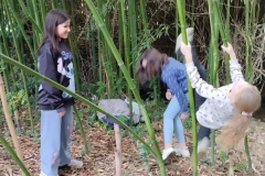 Classe-dehors-seance-1-2