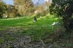 Classe-dehors-seance-1-23