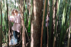 Classe-dehors-seance-1-29