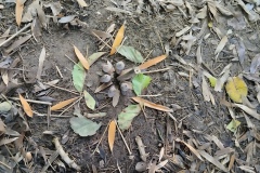 Classe-dehors-seance-1-36