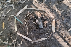 Classe-dehors-seance-1-38