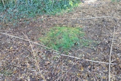 Classe-dehors-seance-1-43