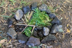 Classe-dehors-seance-1-44