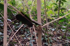 Classe-dehors-seance-3-24