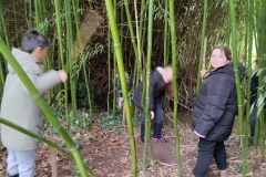 Classe-dehors-seance-3-30