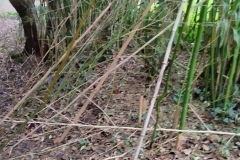 Classe-dehors-seance-3-31