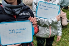 Classe-dehors-seance-3-4