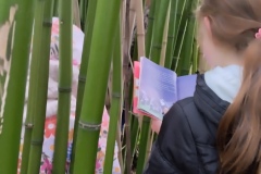 Classe-dehors-seance-3-9