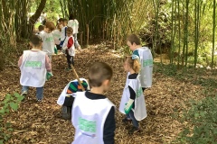 7C1ACC3C-06F2-4B64-A9FC-46FAAC6C1833