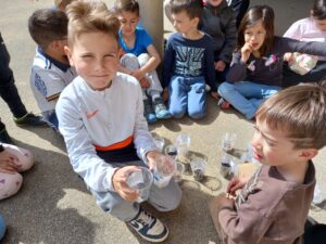 Les CP-CE1 découvrent les besoins des végétaux…